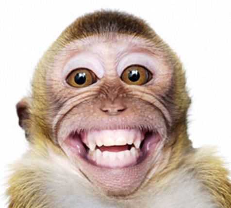 Image result for Goofy smile